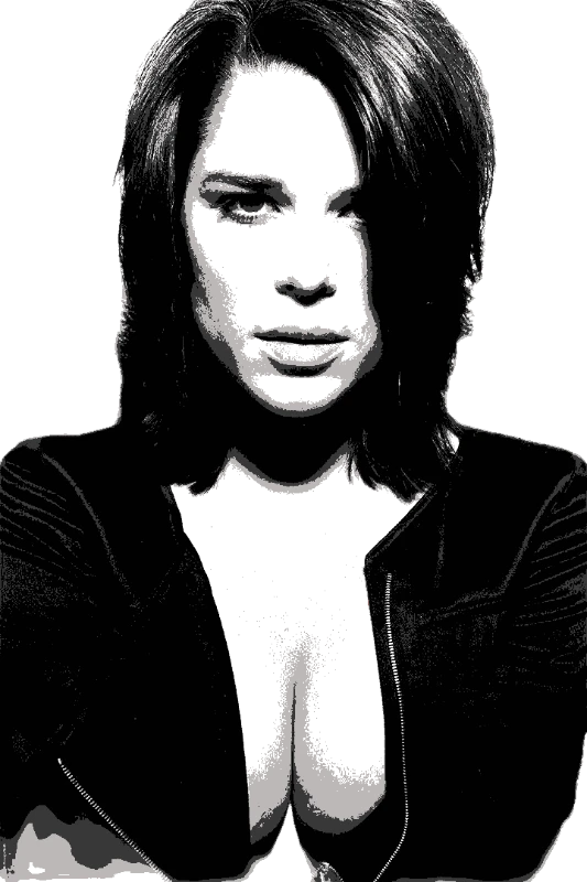 cricut-stencil-maker stencil result